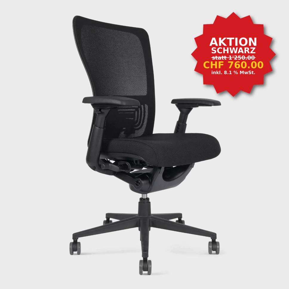 Ergonomischer Bürostuhl ZODY II